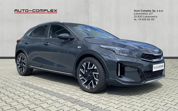 Kia XCeed cena 107800 przebieg: 16100, rok produkcji 2023 z Chojnów małe 232